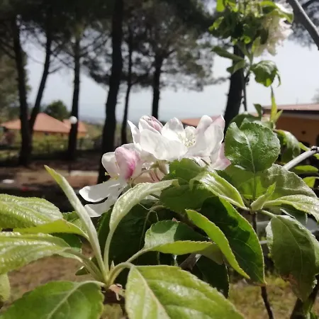Etna Country Bed & Breakfast *