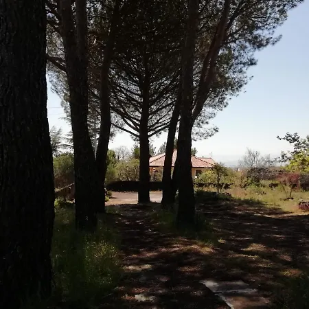 Etna Country Bed & Breakfast *