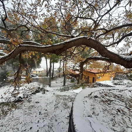 Bed & Breakfast Etna Country *