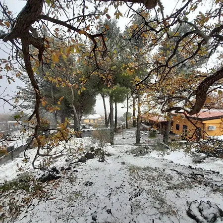 Bed & Breakfast Etna Country *
