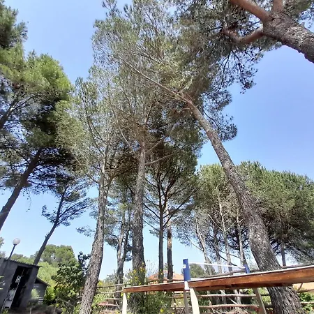 Etna Country Bed & Breakfast *